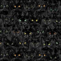 ttCAT-CD1831 BLACK